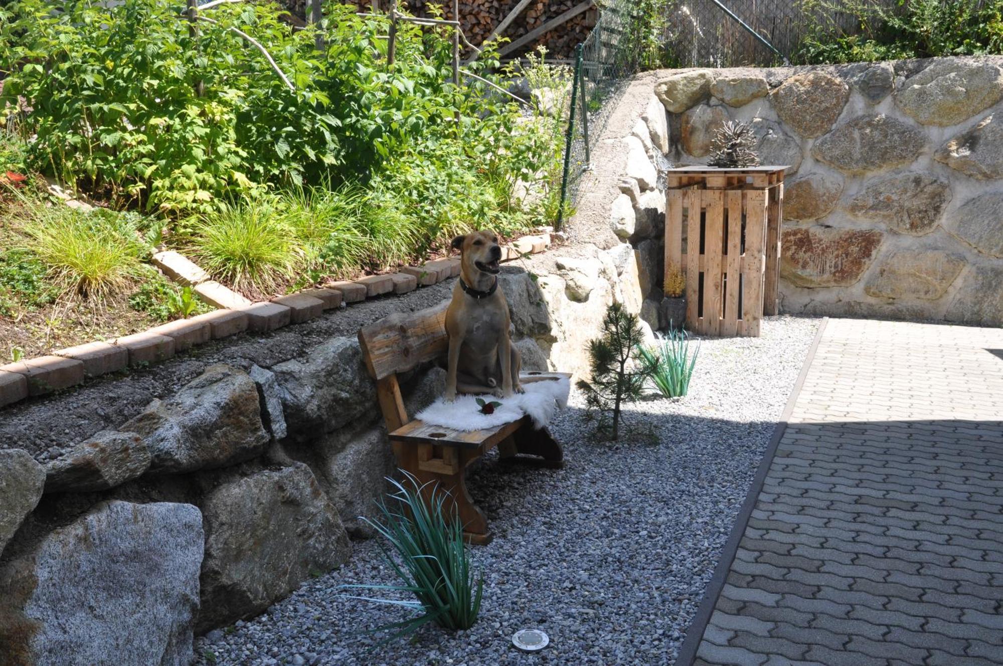 Apartment Baerbel Sautens